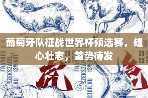 葡萄牙队征战世界杯预选赛，雄心壮志，蓄势待发吉安市靖泰电力工程有限公司