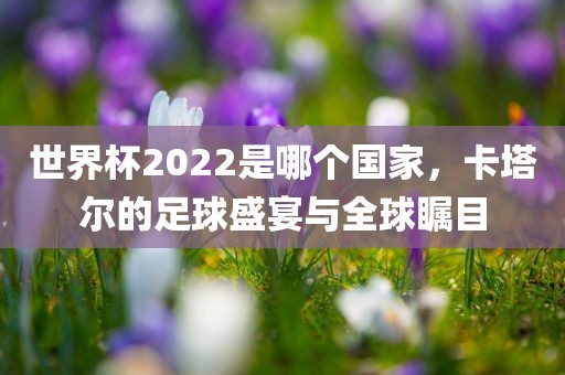 世界杯2022是哪个国家，卡塔尔的足球盛宴与全球瞩目吉安市靖泰电力工程有限公司