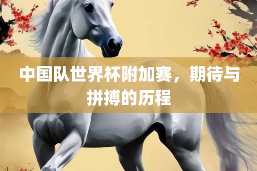 中国队世界杯附加赛，期待与拼搏的历程