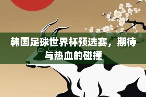 韩国足球世界杯预选赛，期待与热血的碰撞