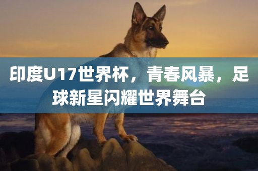 印度U17世界杯，青春风暴，足球新星闪耀世界舞台