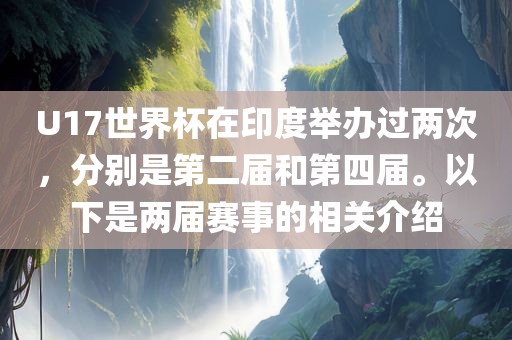 U17世界杯在印度举办过两次，分别是第二届和第四届。以下是两届赛事的相关介绍