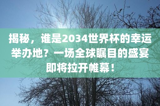 揭秘，谁是2034世界杯的幸运举办地？一吉安市靖泰电力工程有限公司场全球瞩目的盛宴即将拉开帷幕！