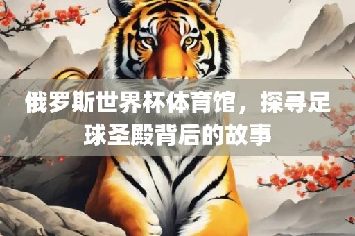 俄罗斯世界杯体育馆，探寻足球圣殿背后的故事