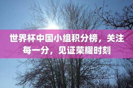 世界杯中国小组积分榜，关注每一分，见证荣耀时刻