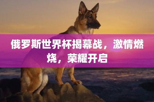 俄罗斯世界杯揭幕战，激情燃烧，荣耀开启