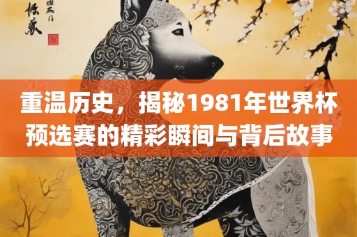 重温历史，揭秘1981年世界杯预选赛的精彩瞬间与背后故事