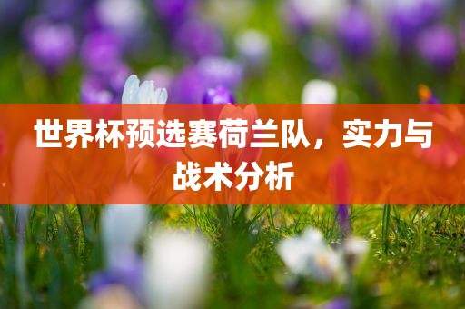 世界杯预选赛荷兰队，实力与战术分析吉安市靖泰电力工程有限公司