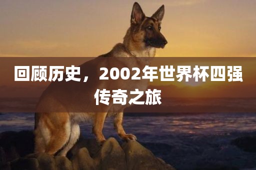 回顾历史，2002年世界杯四强传奇之旅
