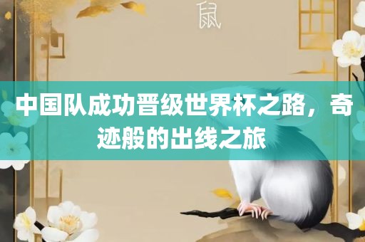 中国队成功晋级世界杯之路，奇迹般的出线之旅