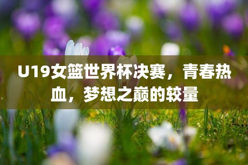 U19女篮世界杯决赛，青春热血，梦想之巅的较量