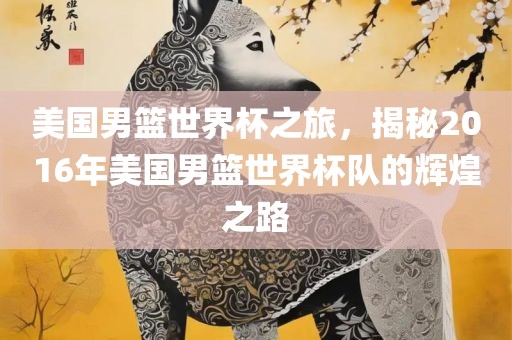 美国男篮世界杯之旅，揭秘2016年美国男篮世界杯队的辉煌之路