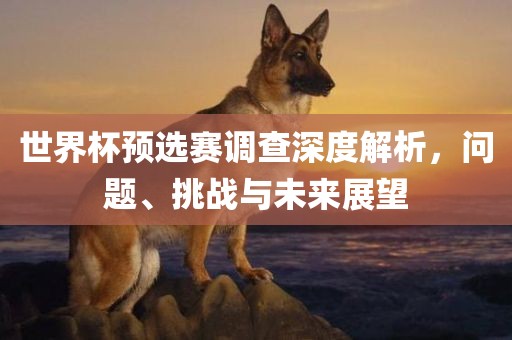 世界杯预选赛调查深度解析，问题、挑战与未来展望