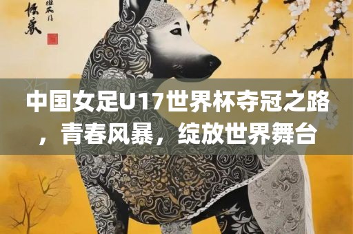 中国女足U17世界杯夺冠之路，青春风暴，绽放世界舞台