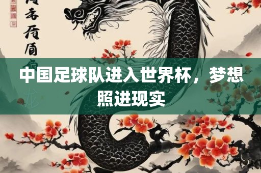 中国足球队进入世界杯，梦想照进现实