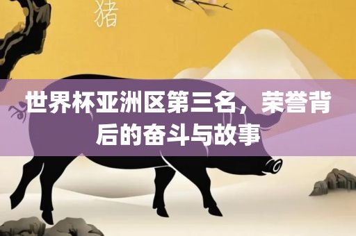 世界杯亚洲区第三名，荣誉背后的奋斗与故事