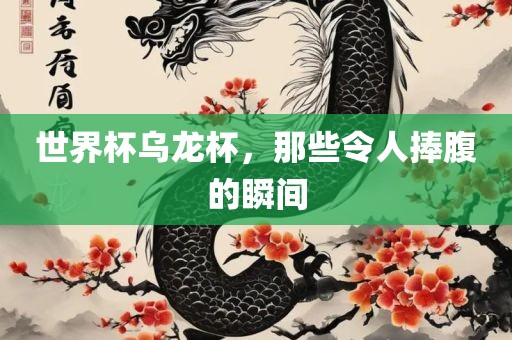 世界杯乌龙杯，那些令人捧腹的瞬间