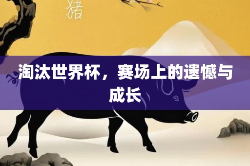 淘汰世界杯，赛场上的遗憾与成长