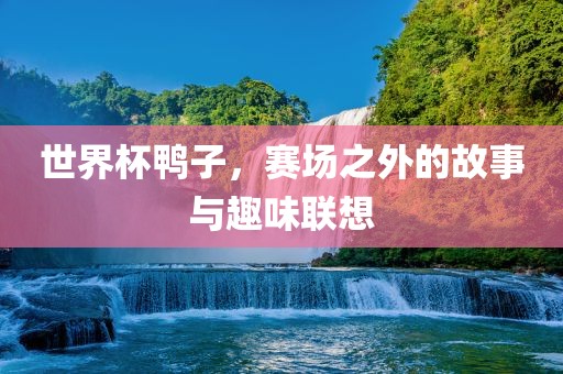 世界杯鸭子，赛场之外的故事与趣味联想