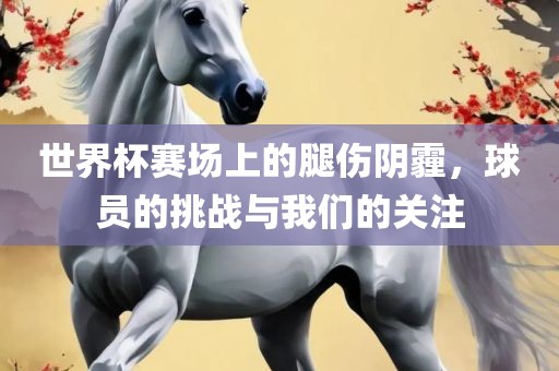 世界杯赛场上的腿伤阴霾，球员的挑战与我们的关注