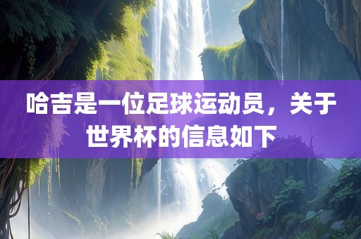 哈吉是一位足球运动员，关于世界杯的信息如下