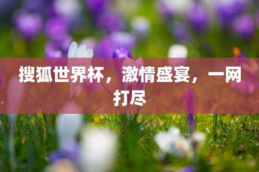 搜狐世界杯，激情盛宴，一网打尽