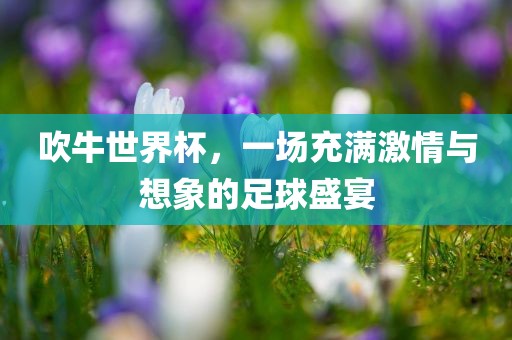 吹牛世界杯，一场充满激情与想象的足球盛宴吉安市靖泰电力工程有限公司
