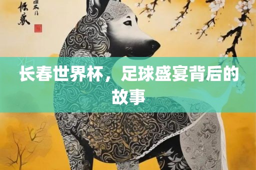 长春世界杯，足球盛宴背后的故事