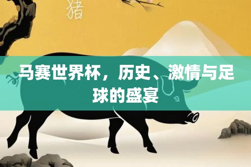 马赛世界杯，历史、激情与足球的盛宴