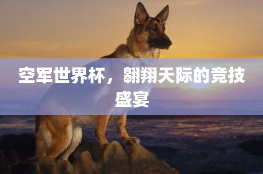 空军世界杯，翱翔天际的竞技盛宴