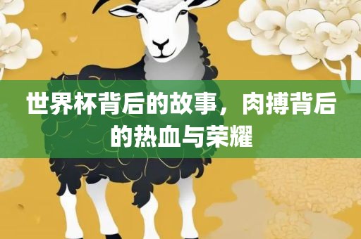 世界杯背后的故事，肉搏背后的热血与荣耀