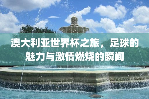 澳大利亚世界杯之旅，足球的魅力与激情燃烧的瞬间