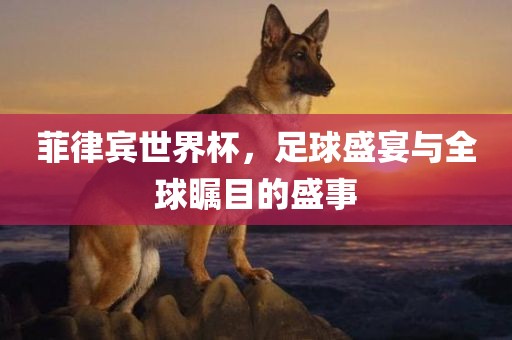 菲律宾世界杯，足球盛宴与全球瞩目的盛事