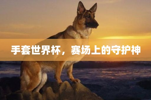 手套世界杯，赛场上的守护神