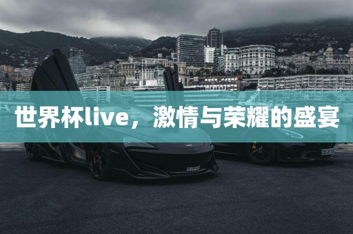世界杯live，激情与荣耀的盛宴
