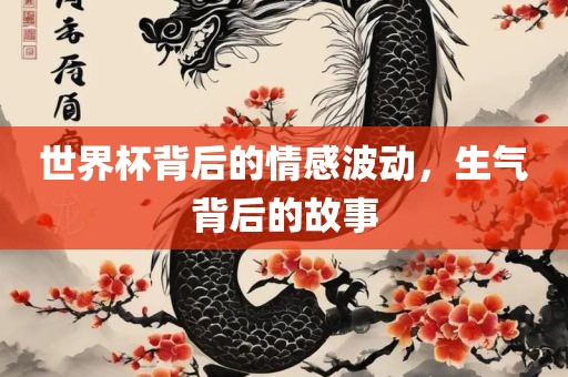 世界杯背后的情感波动，生气背后的故事