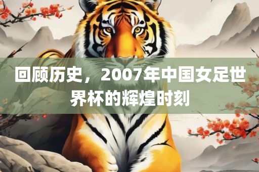 回顾历史，2007年中国女足世界杯的辉煌时刻吉安市靖泰电力工程有限公司