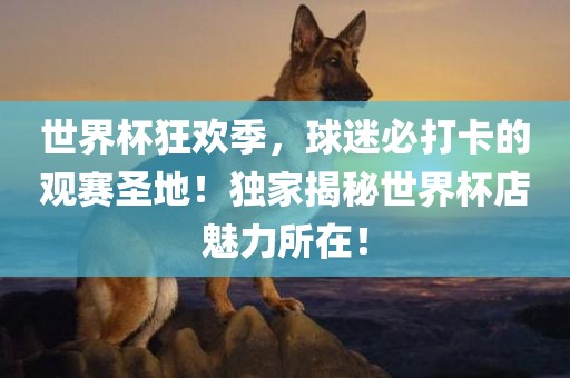 世界杯狂欢季，球迷必打卡的观赛圣地！独家揭秘世界杯店魅力所在！