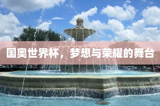 国奥世界杯，梦想与荣耀的舞台