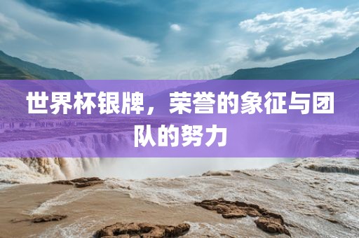 世界杯银牌，荣誉的象征与团队的努力