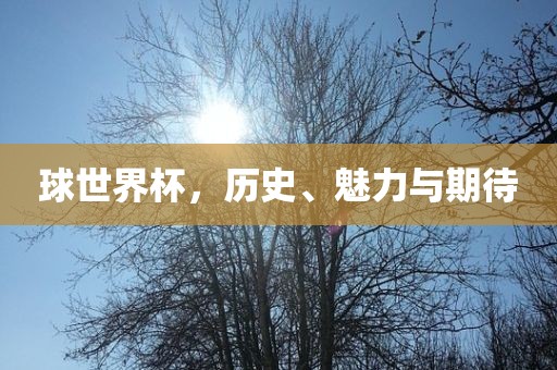 球世界杯，历史、魅力与期待
