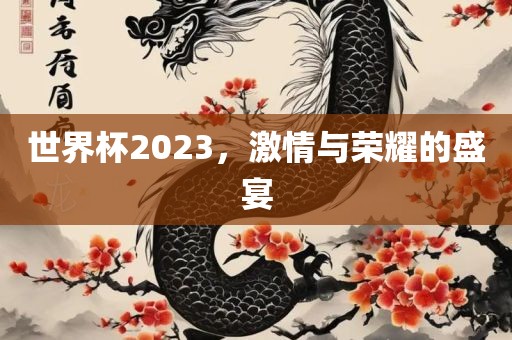 世界杯2023，激情与荣耀的盛宴
