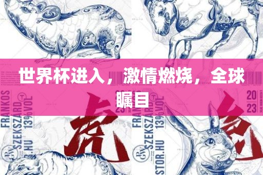 世界杯进入，激情燃烧，全球瞩目