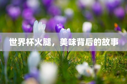 世界杯火腿，美味背后的故事