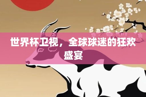世界杯卫视，全球球迷的狂欢盛宴