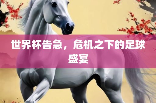 世界杯告急，危机之下的足球盛宴