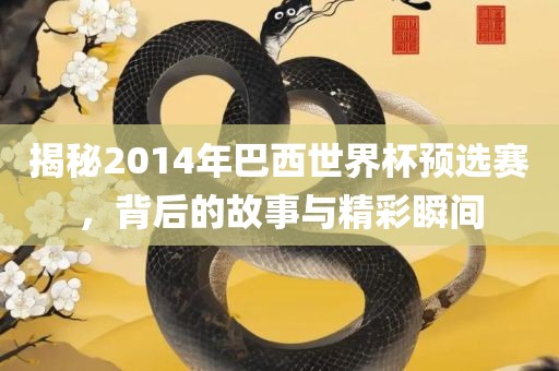 揭秘2014年巴西世界杯预选赛，背后的故事与精彩瞬间吉安市靖泰电力工程有限公司