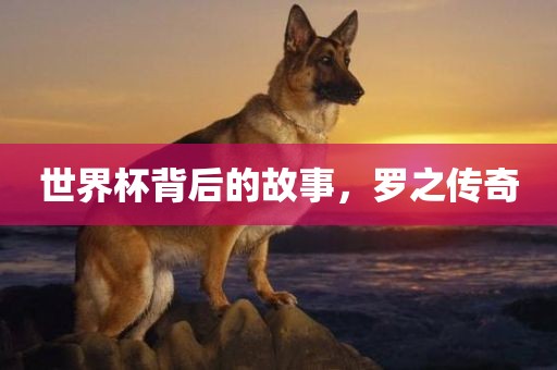 世界杯背后的故事，罗之传奇