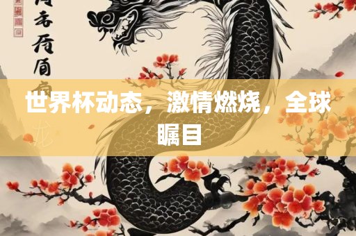 世界杯动态，激情燃烧，全球瞩目