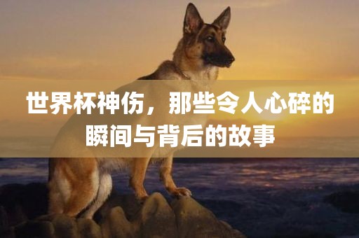 chenqimei 第2页